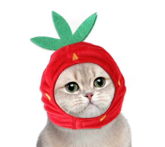 S00b09b62e32a42fc87e6fafa91c3d39d6