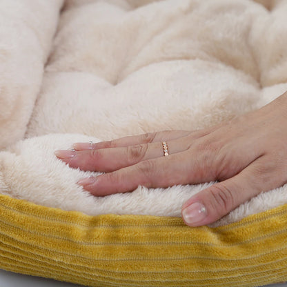 S10d7e062baef4ad2b21e1d2041c6a913o