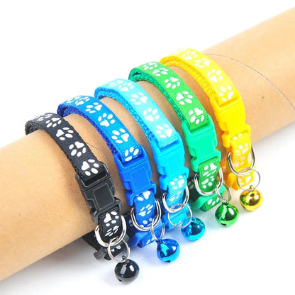 S63f86b05a1a943e9bd7e482c1bb82f72v