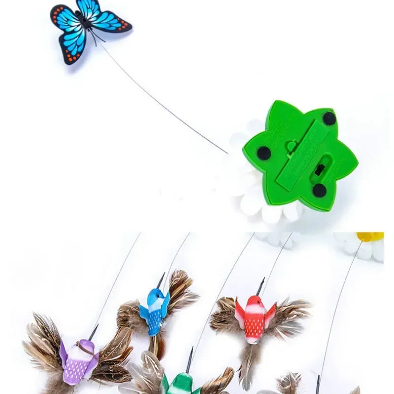 S9a5d1daee5b045109a277afe5edbf85fy