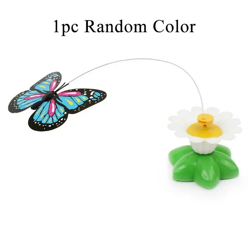 Saae8e5e2b70d424180e054989dab3b19b