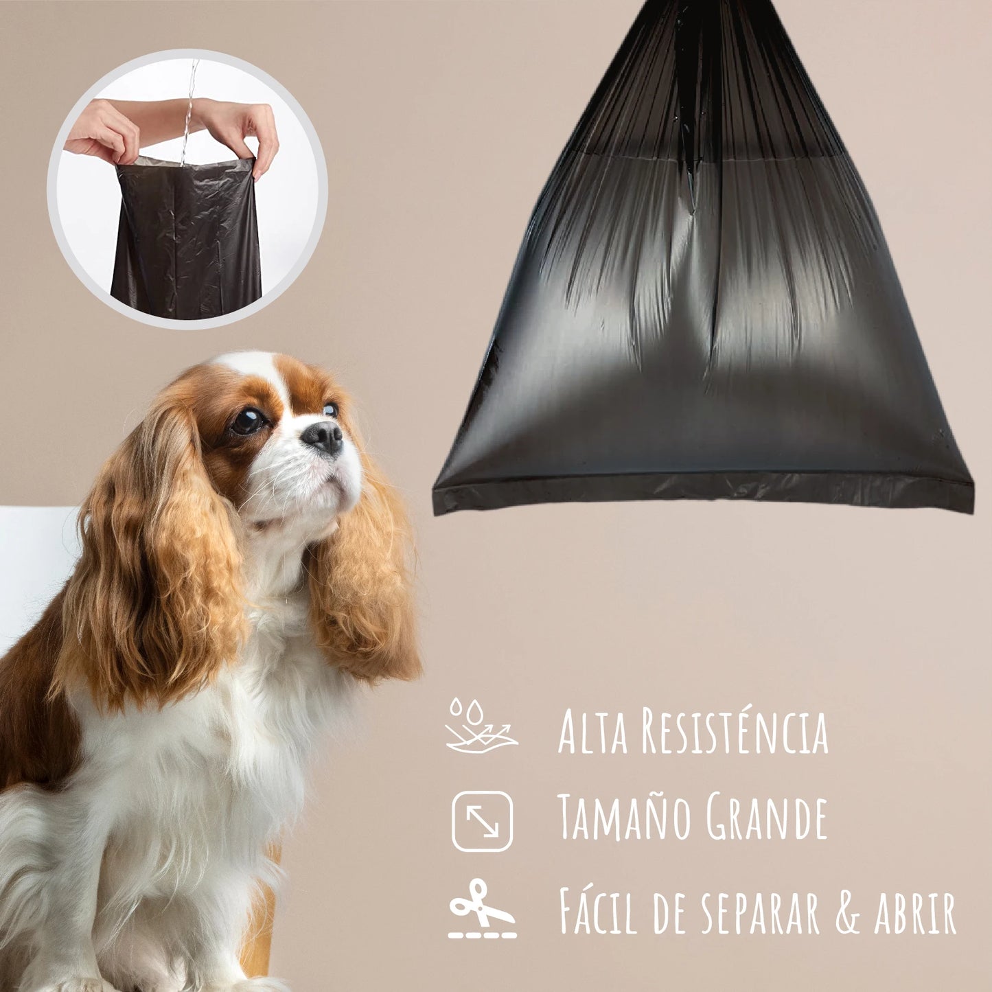 Se6d799d76dd14fbda93443df1afbf6673