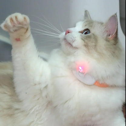 Se83d94972ce74dae8482b537de8b2e43t