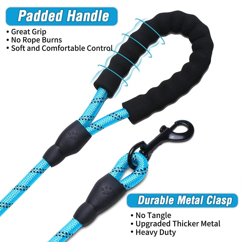 Sffde721efb164378a24ca4d1b8aa03d0a